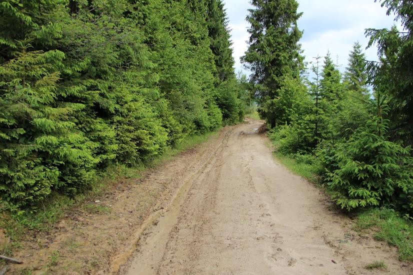 Мельничне з panoramio.com - Мельничне