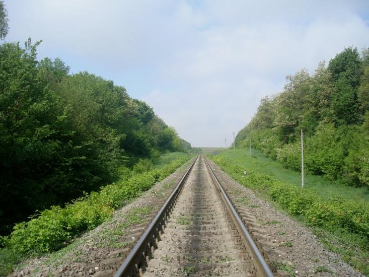 Нестерівці з panoramio.com - Нестерівці