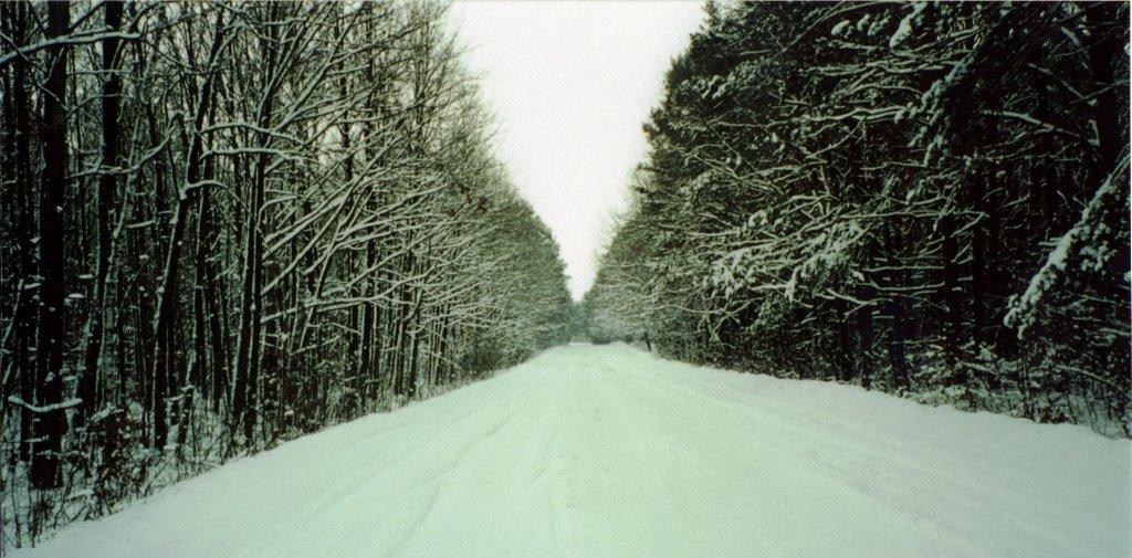 Кам'янка з panoramio.com - Кам'янка