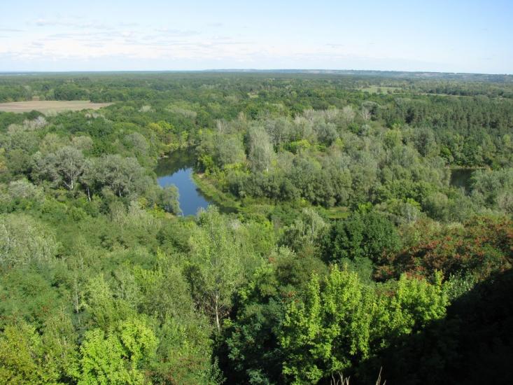 Яреськи з panoramio.com - Яреськи