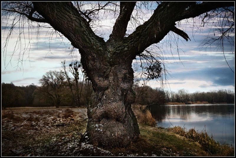 Низи з panoramio.com - Низы