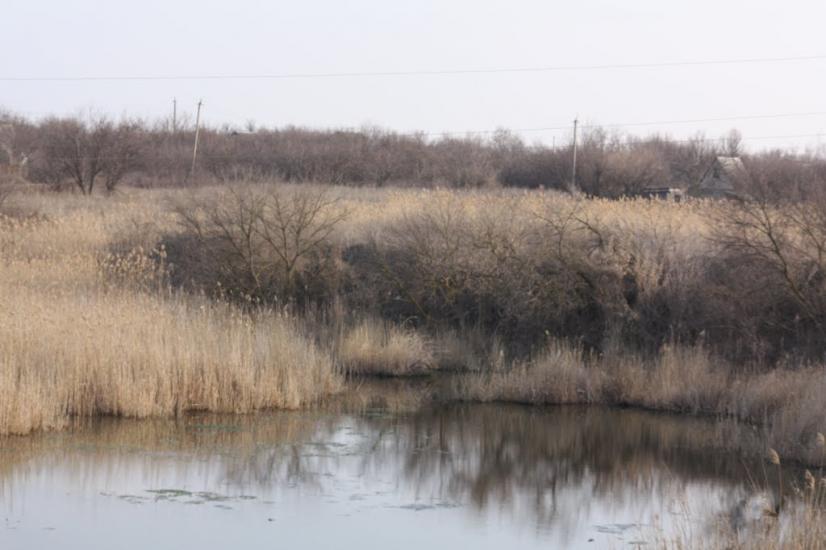 Браїлівка з panoramio.com - Браїлівка