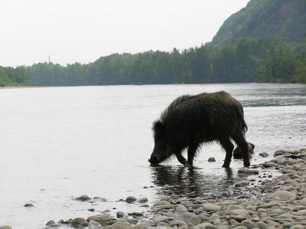 Мала Копаня з panoramio.com - Мала Копаня