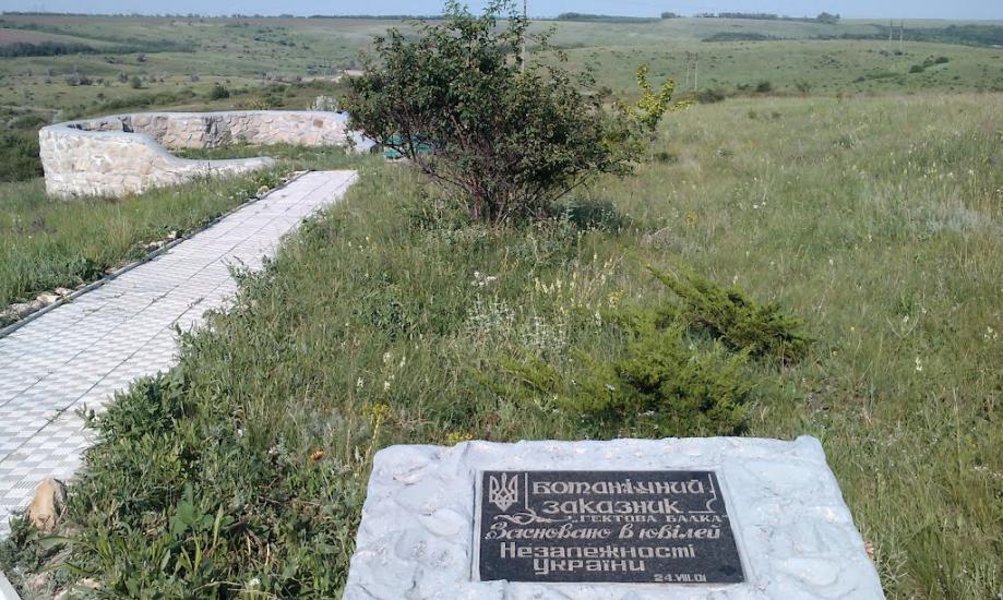 Рози Люксенбург з panoramio.com - Новое Шахово