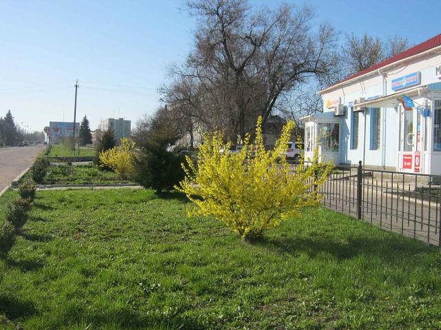 Куйбишеве з panoramio.com - Kuybisheva