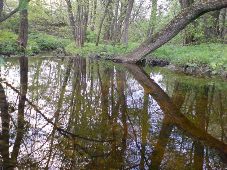Єлівка з panoramio.com - Єлівка