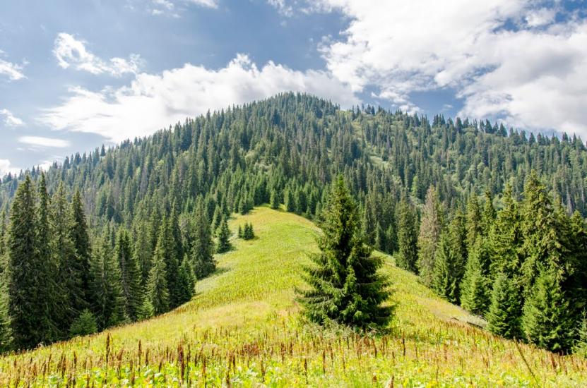 Богдан з panoramio.com - Богдан