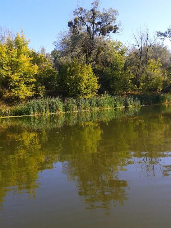 Синичине з panoramio.com - Synychyne