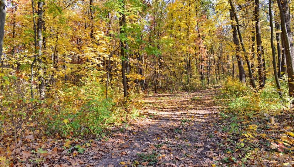 Балаклея з panoramio.com - Балаклея