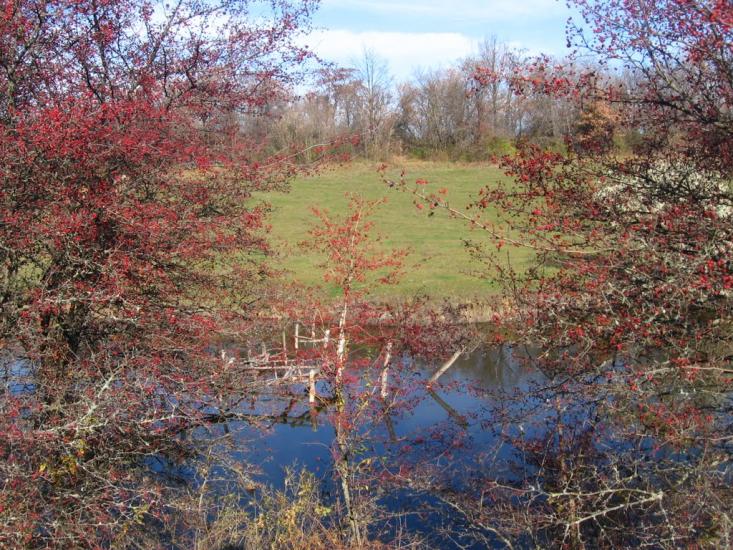Христофорівка з panoramio.com - Христофоровка