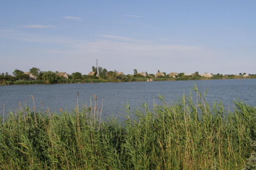 Ліски з panoramio.com - Лески