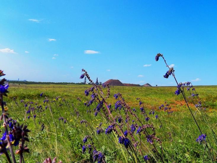 Данилове з panoramio.com - Danylove