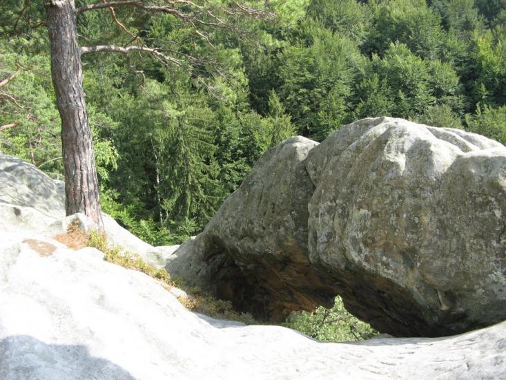 Хорови з panoramio.com - Хоровы