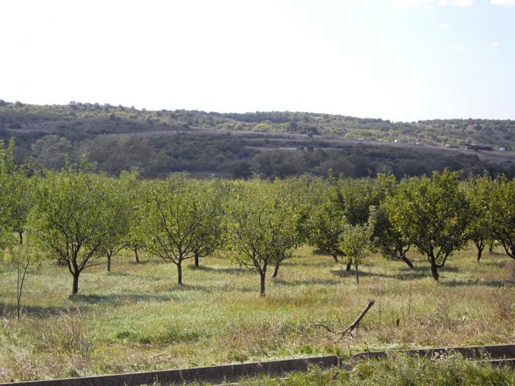 Стальне з panoramio.com - Стальне