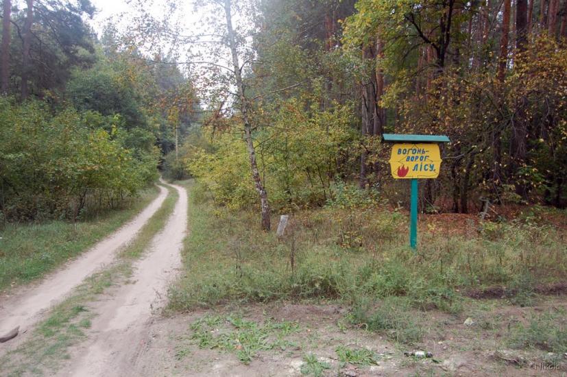 Серебрянка з panoramio.com - Серебрянка