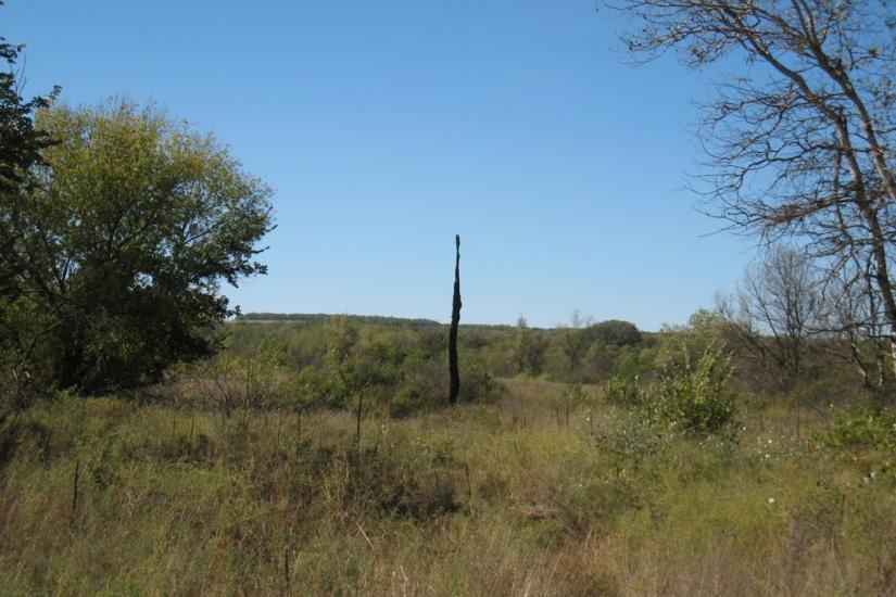 Піщане з panoramio.com - Pischane