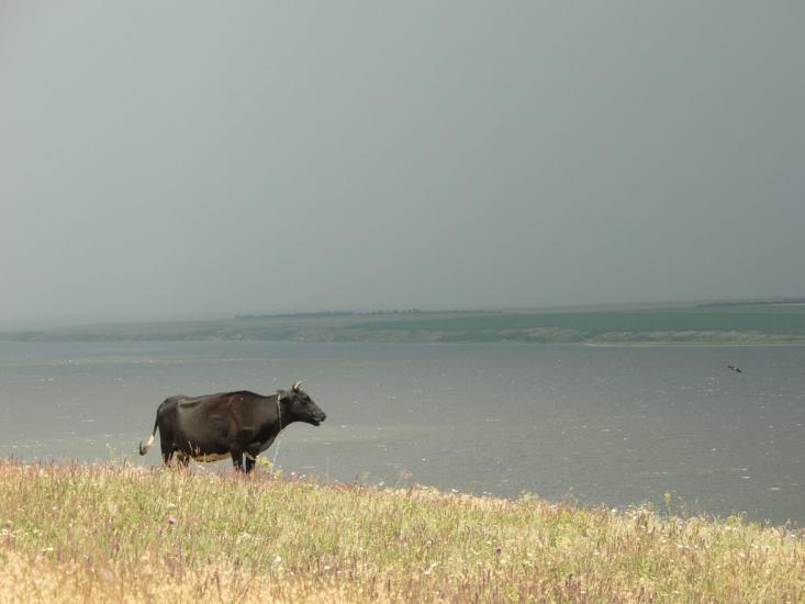 Кордон з panoramio.com - Кордон