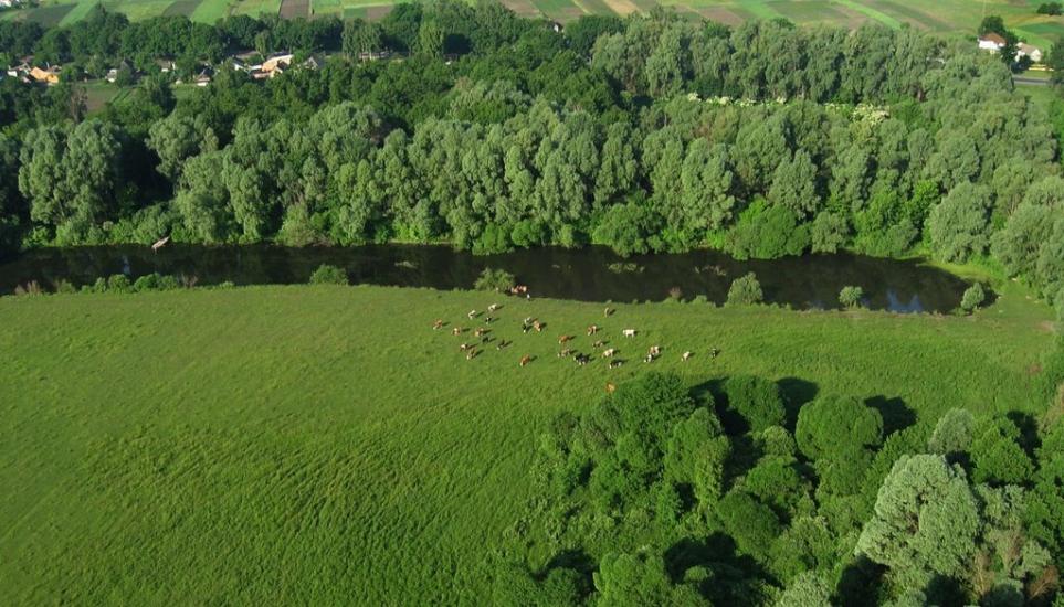 Заїзд з panoramio.com - Заезд