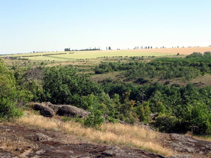 Куріпчине з panoramio.com - Kuripchyne