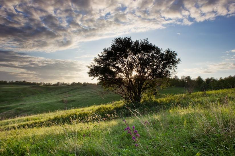Вовчанські Хутори з panoramio.com - Вовчанські Хутори