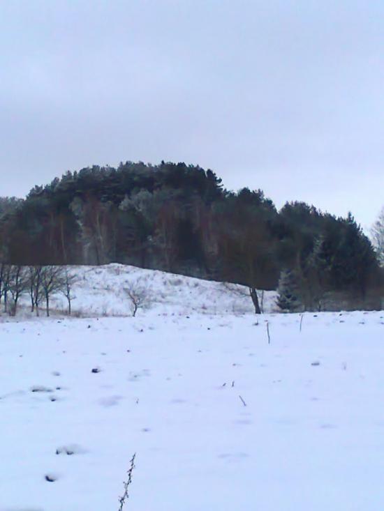Вербовець з panoramio.com - Вербовец