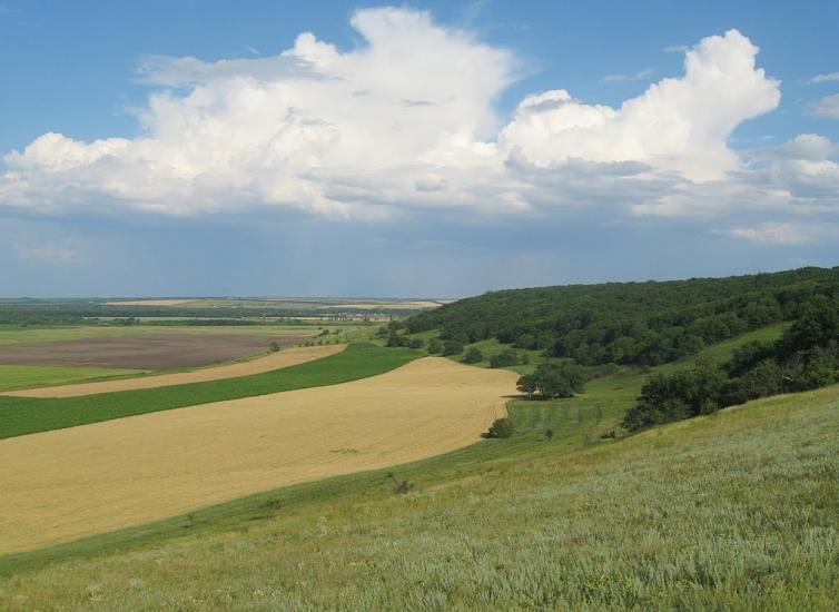 Красний Деркул з panoramio.com - Красный Деркул
