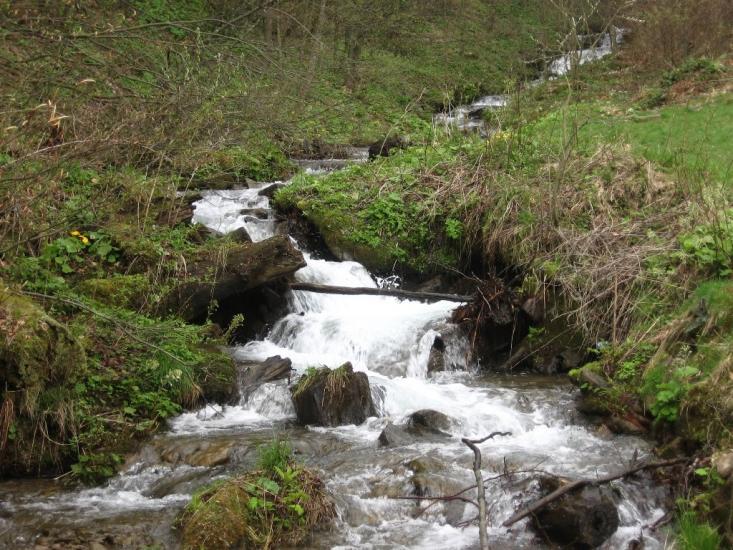 Біласовиця з panoramio.com - Bilasovytsya