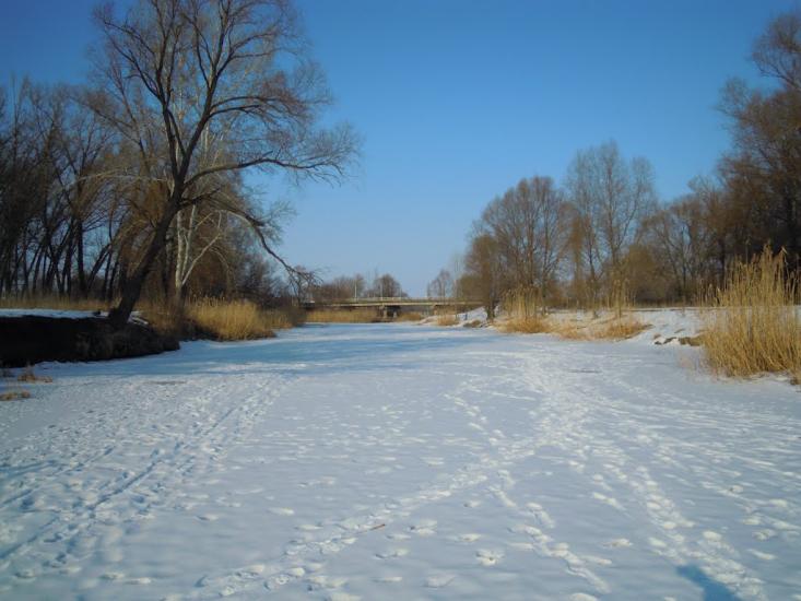 Вовчанськ з panoramio.com - Волчанск