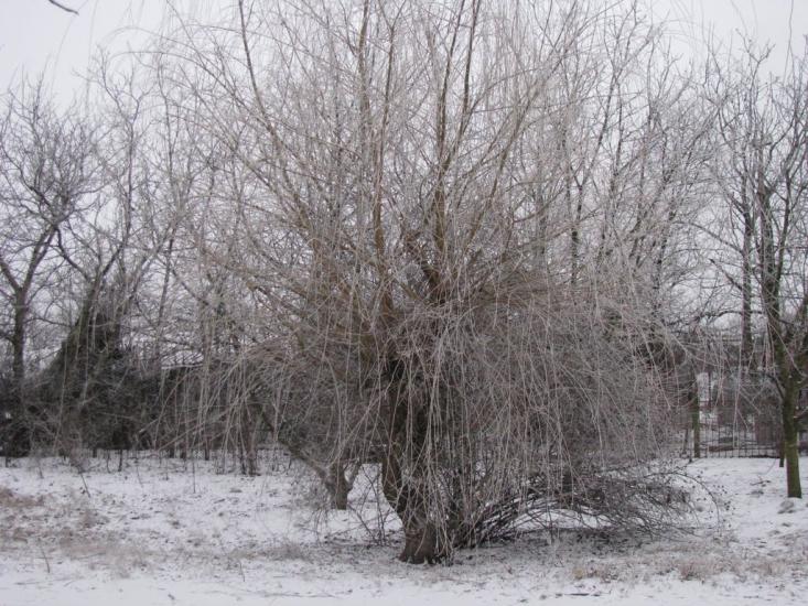 Чулаківка з panoramio.com - Chulakivka