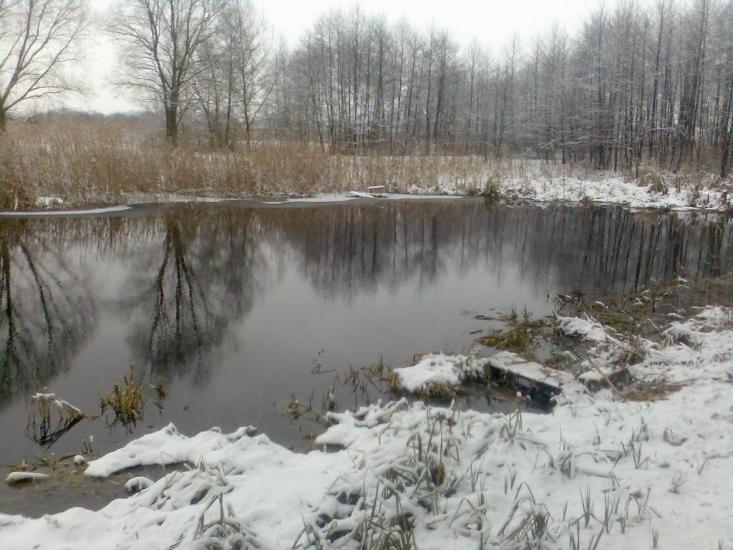 Радивилів з panoramio.com - Радивилов