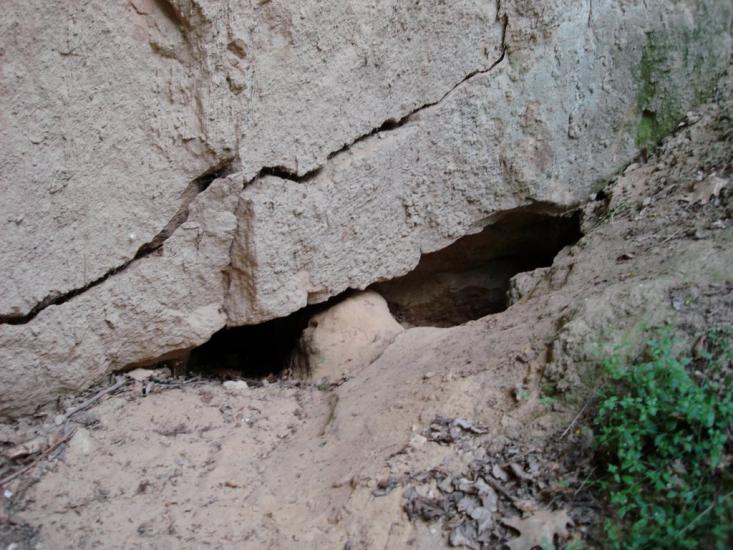 Мліїв з panoramio.com - Млиев