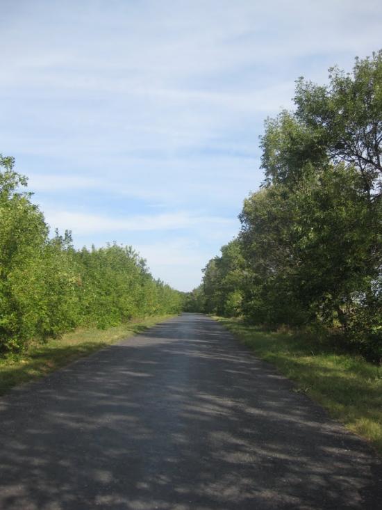 Хрещате з panoramio.com - Хрещатое