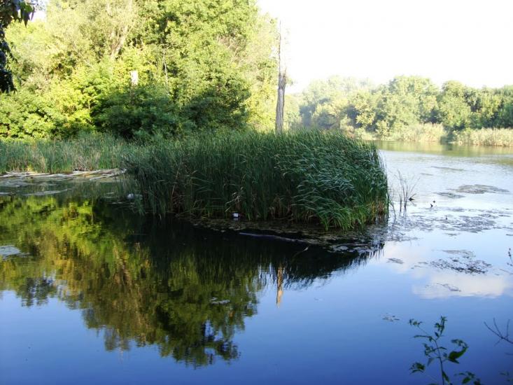 Піщанка з panoramio.com - Песчанка