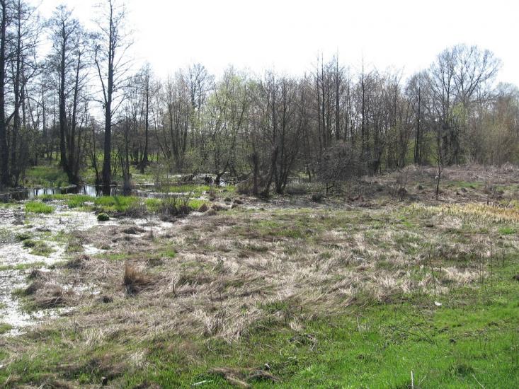 Кропивня з panoramio.com - Крапивня