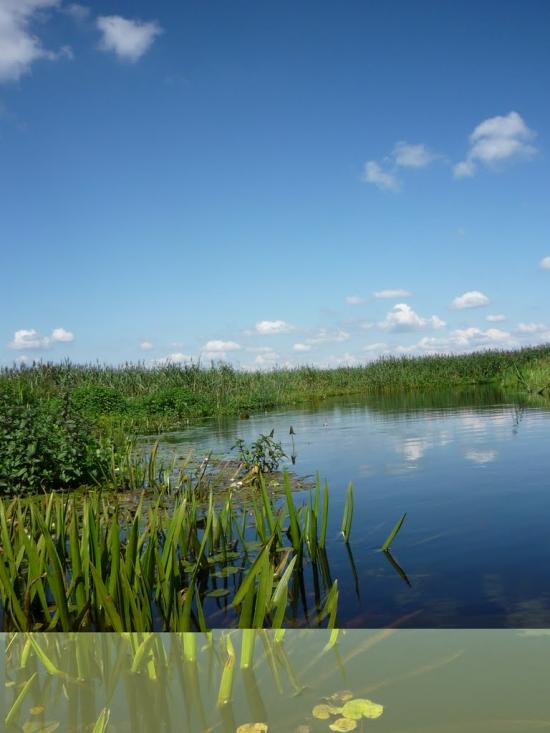 Любешів з panoramio.com - Любешов