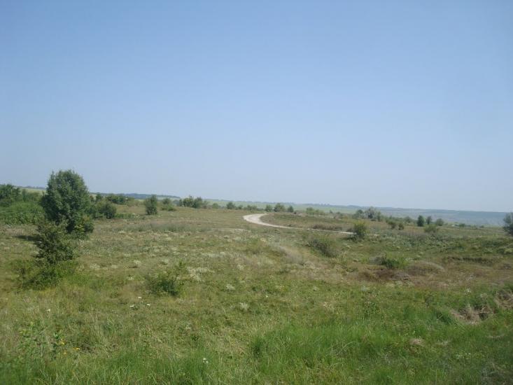 Велика Слобідка з panoramio.com - Велика Слобідка