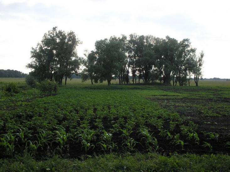Зазим'я з panoramio.com - Зазим'я