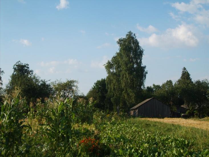 Тополівка з panoramio.com - Тополівка