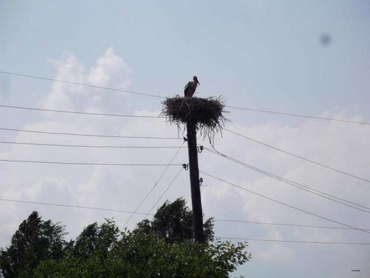 Костопіль з panoramio.com - Kostopil