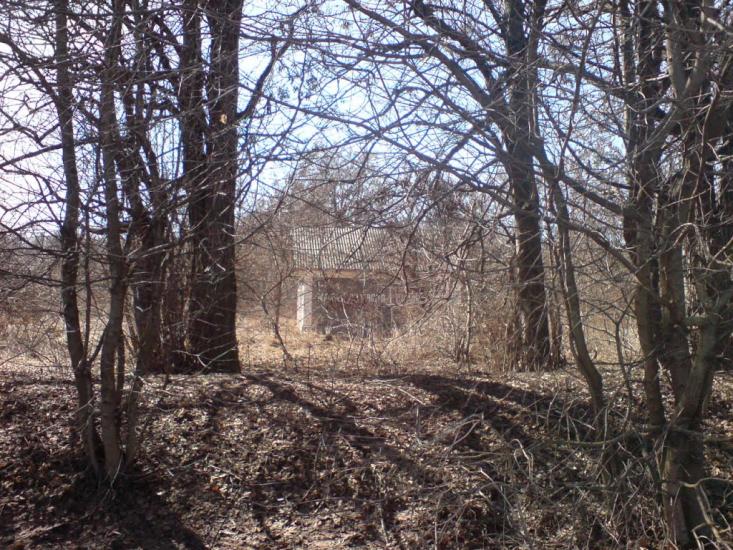 Нестерівці з panoramio.com - Нестеровцы