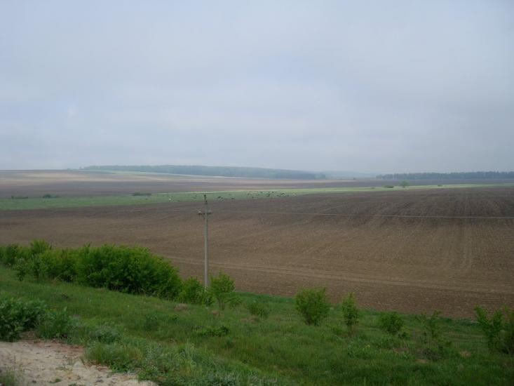 Нестерівці з panoramio.com - Нестерівці