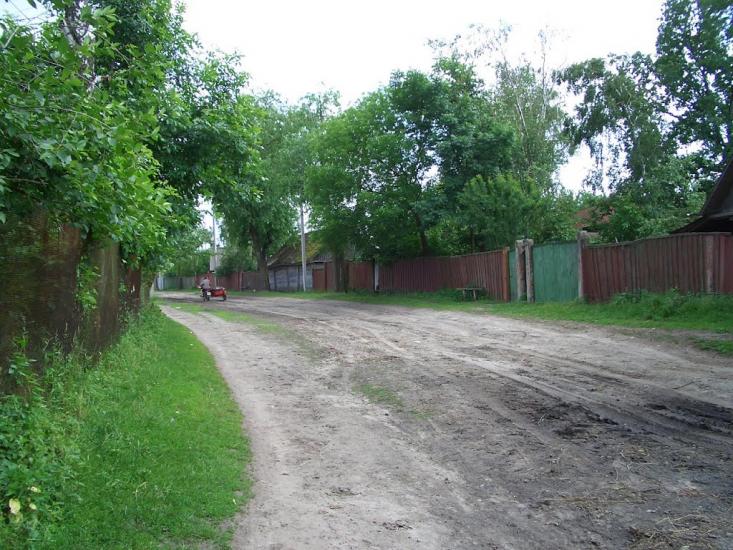 Алтинівка з panoramio.com - Алтинівка