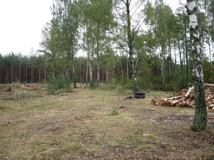 Рудня-Гацьківка з panoramio.com - Рудня-Гацьківка