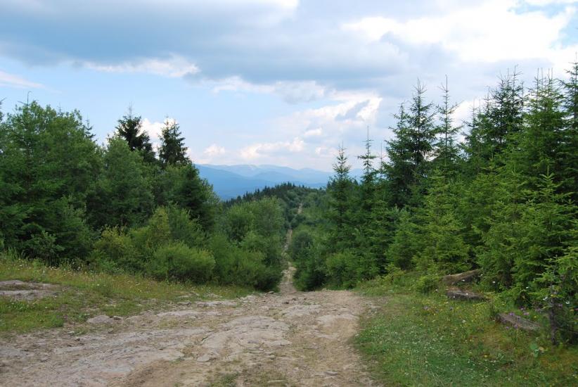 Завийка з panoramio.com - Завийка
