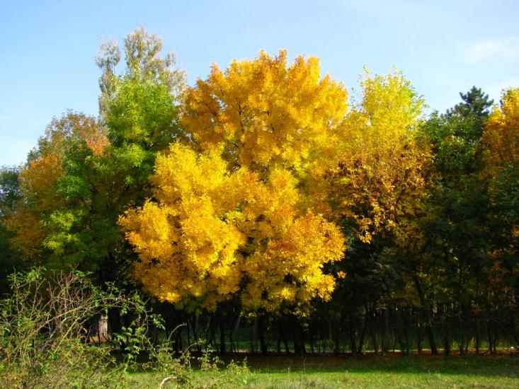 Малокаховка з panoramio.com - Малокаховка