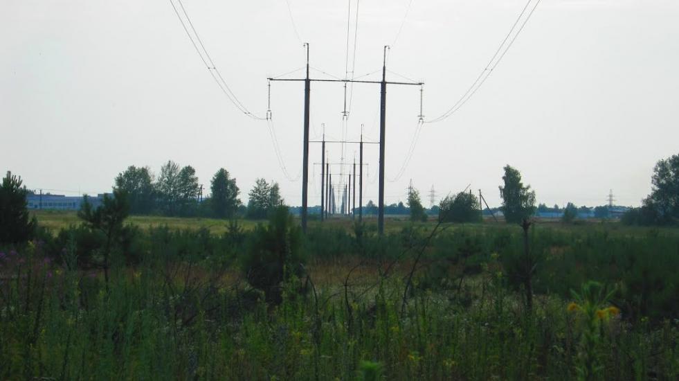 Велика Димерка з panoramio.com - Великая Дымерка