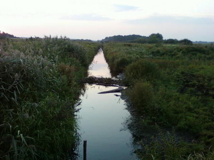 Сальник з panoramio.com - Сальник