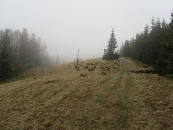 Завийка з panoramio.com - Завийка