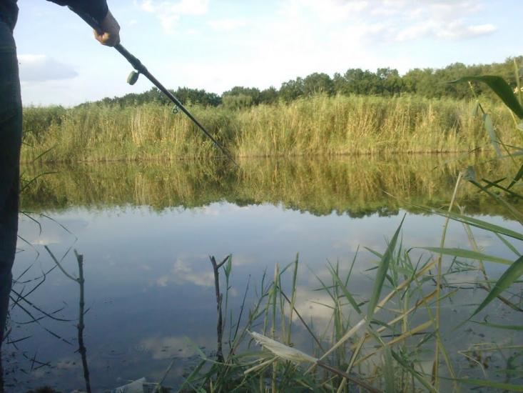 Валове з panoramio.com - Sofiyivka