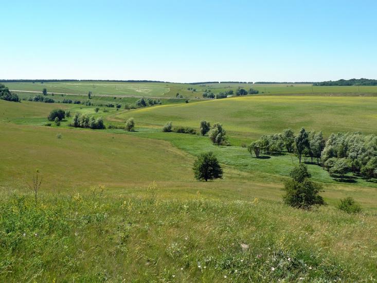 Сніжки з panoramio.com - Сніжки